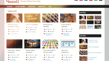 Airin Blog Premium Theme Review for WordPress