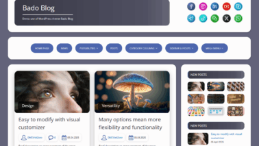 Bado Blog Premium Theme Review for WordPress
