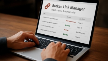 Broken Link Manager WordPress Plugin review – monitor links automatically